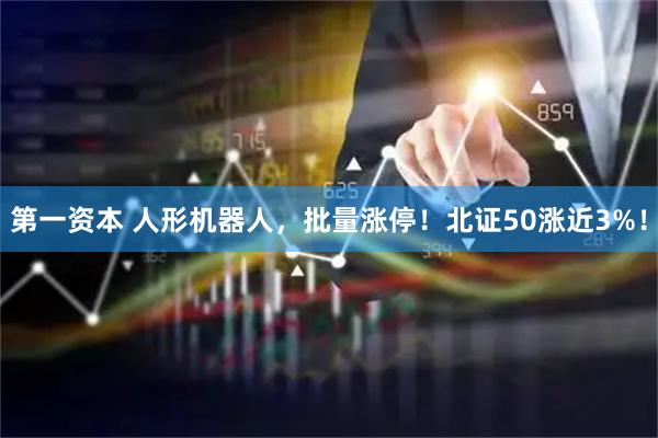 第一资本 人形机器人，批量涨停！北证50涨近3%！