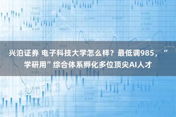 兴泊证券 电子科技大学怎么样？最低调985，“学研用”综合体系孵化多位顶尖AI人才
