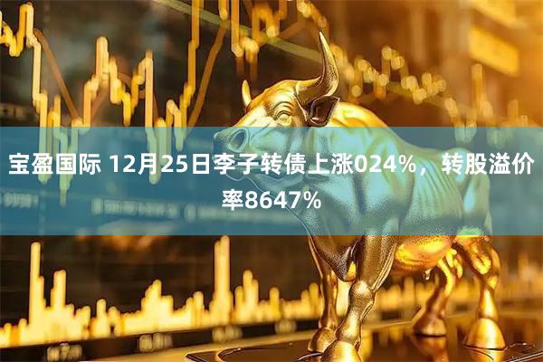 宝盈国际 12月25日李子转债上涨024%，转股溢价率8647%