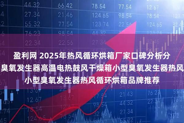 盈利网 2025年热风循环烘箱厂家口碑分析分析出炉，空间消毒臭氧发生器高温电热鼓风干燥箱小型臭氧发生器热风循环烘箱品牌推荐